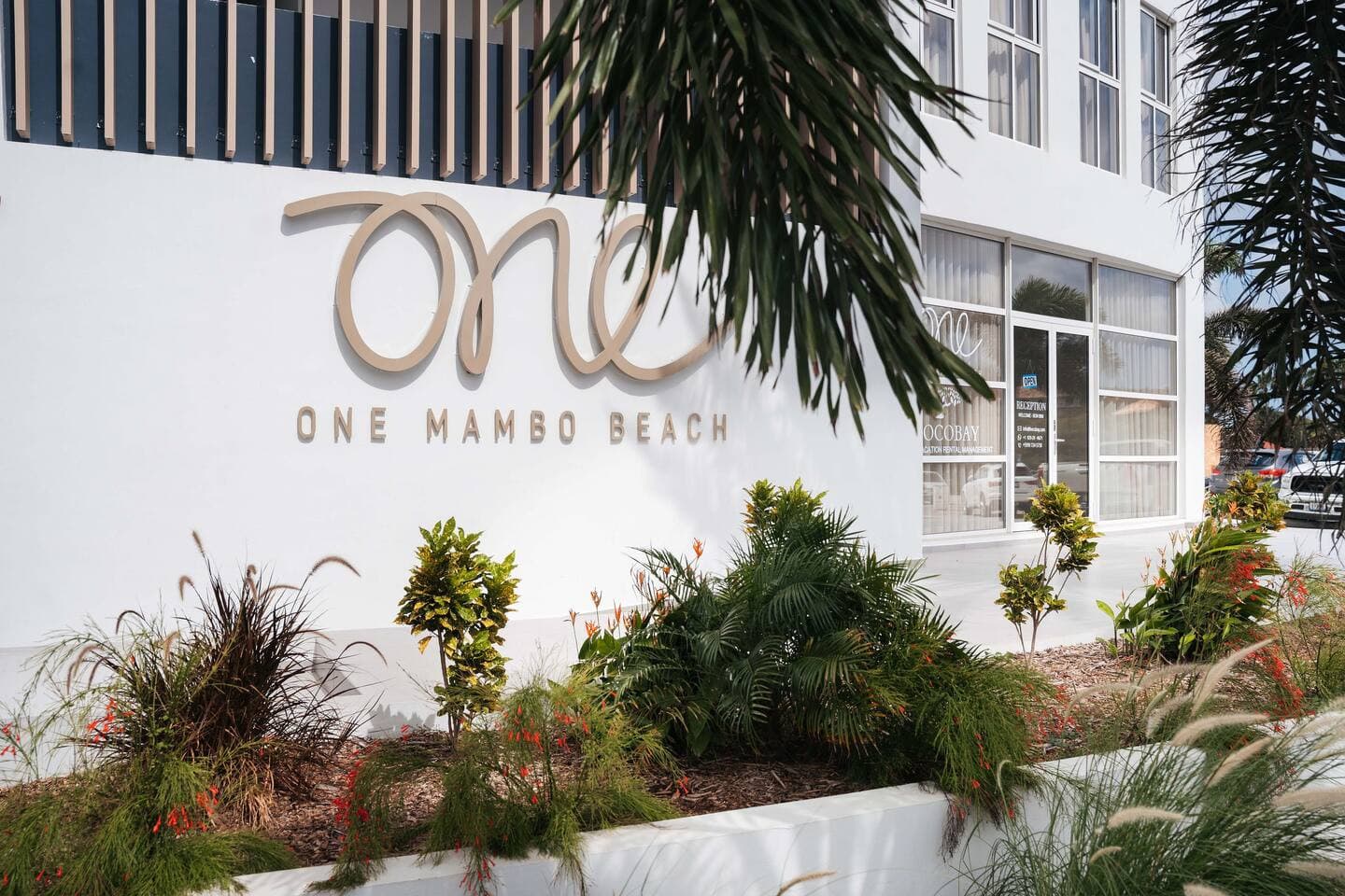 Chandresh Test Friday